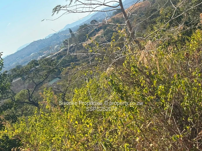 Prime Development Opportunity In Shawasha Hillsprime Development Opportunity In Shawasha Hill