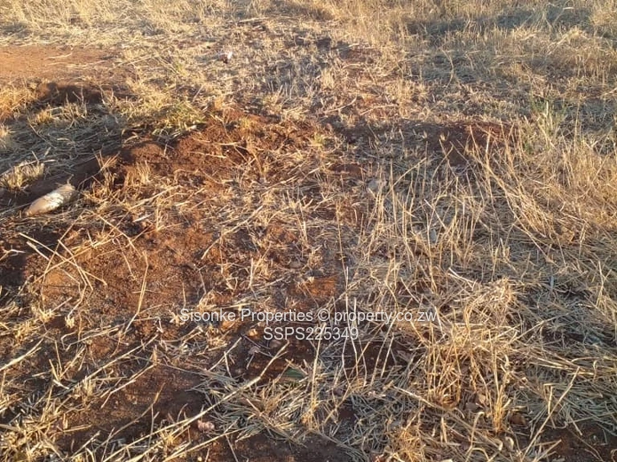 Stand for Sale in  Melbourne Park ,Chiredzi – Your Dream Awaits!** (Sole Mandate)