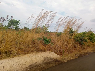 Commercial & Industrial Land