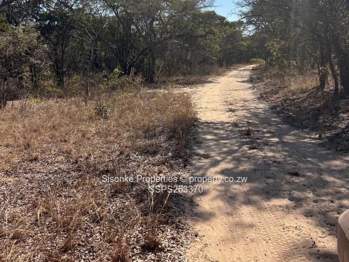Zenda Farm — 3,025 Hectare Investment Opportunity