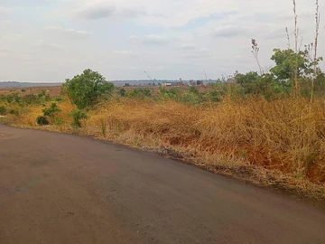 Commercial & Industrial Land